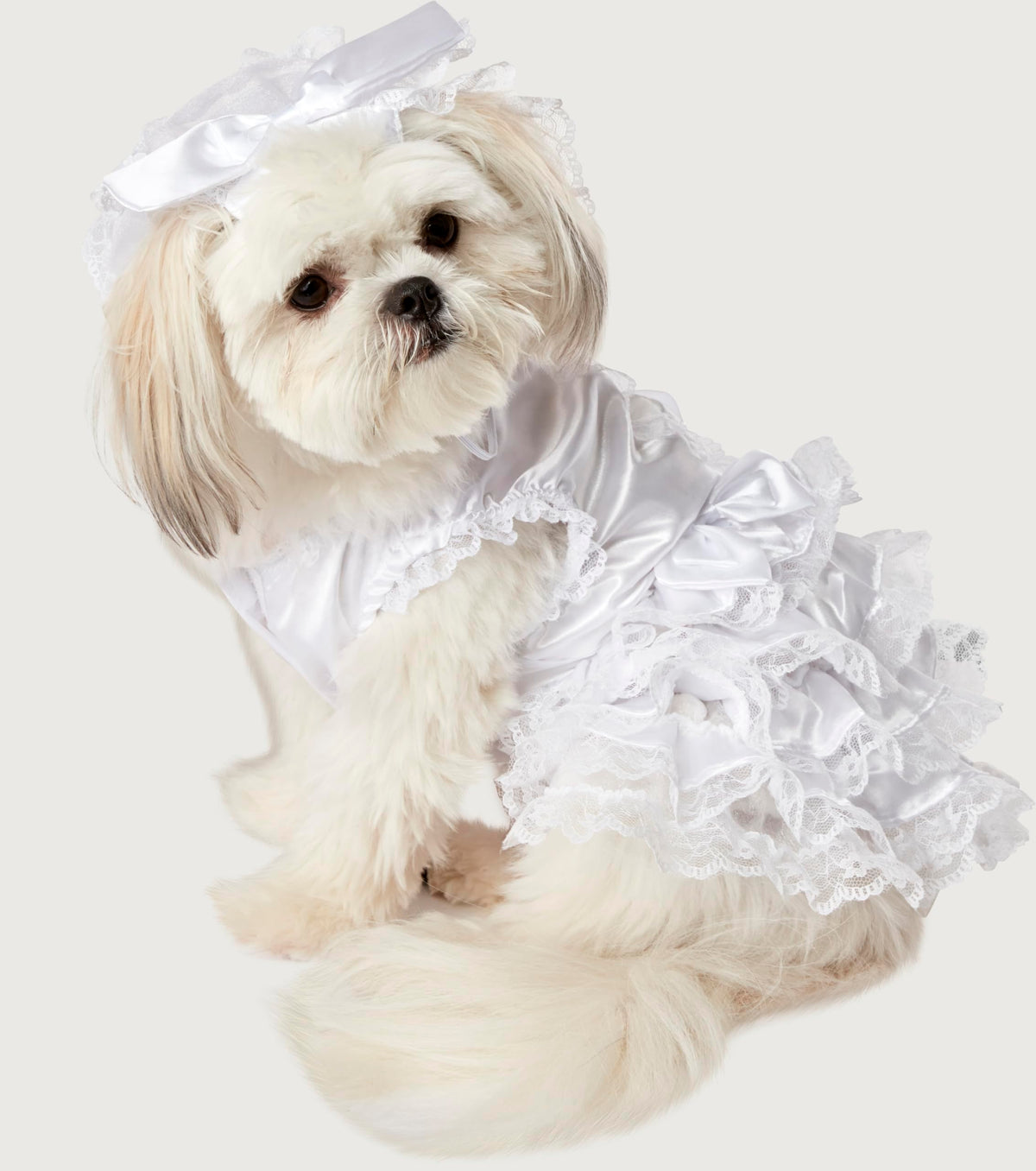Rubies Costume Co Halloween Classics Collection Pet Costume, X-Large, Bride