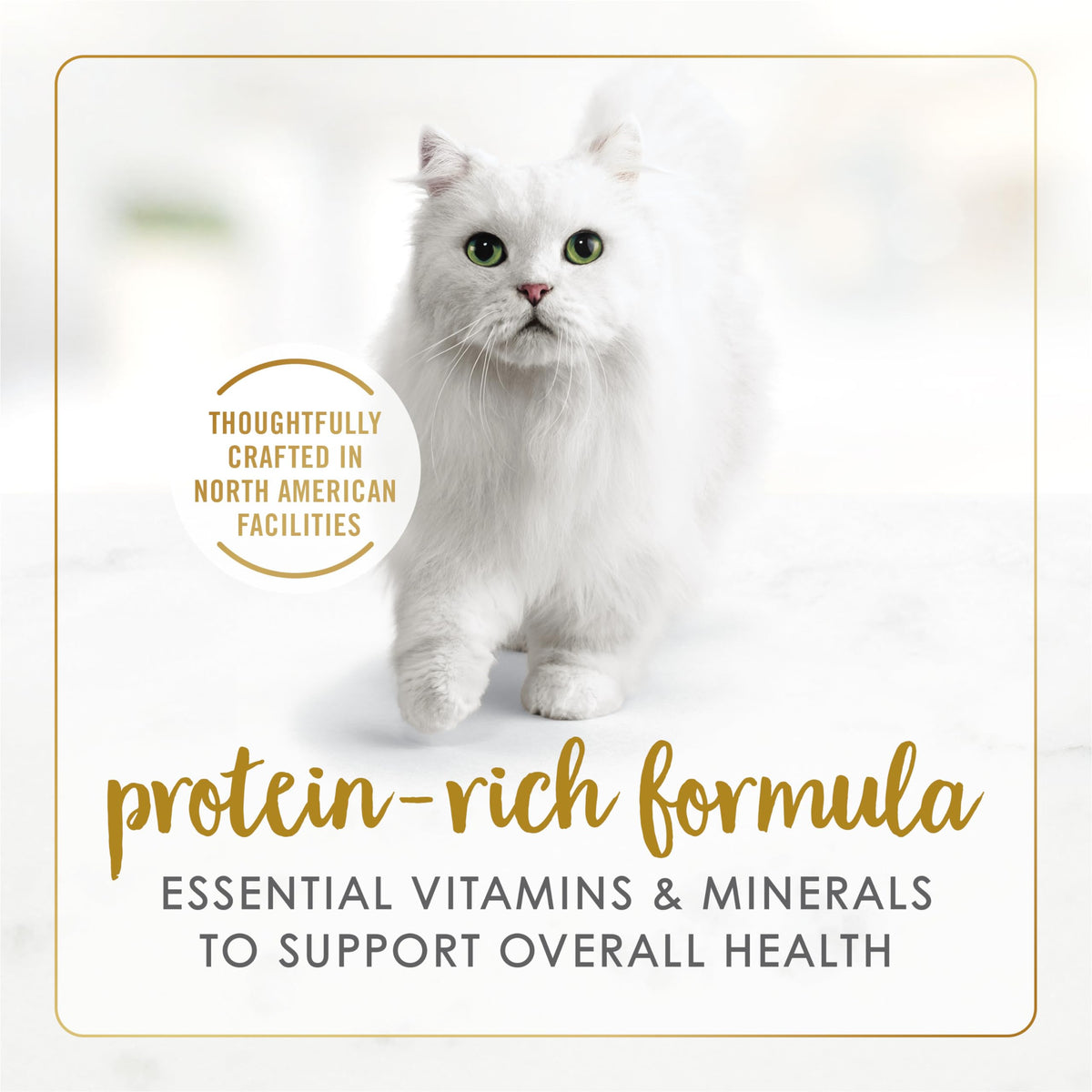 Fancy Feast Wet Cat Food, Pate Assorted Variety Pack 3 Flavours - 85 g Can (24 Pack) 🍁 All In One Marketplace Canada