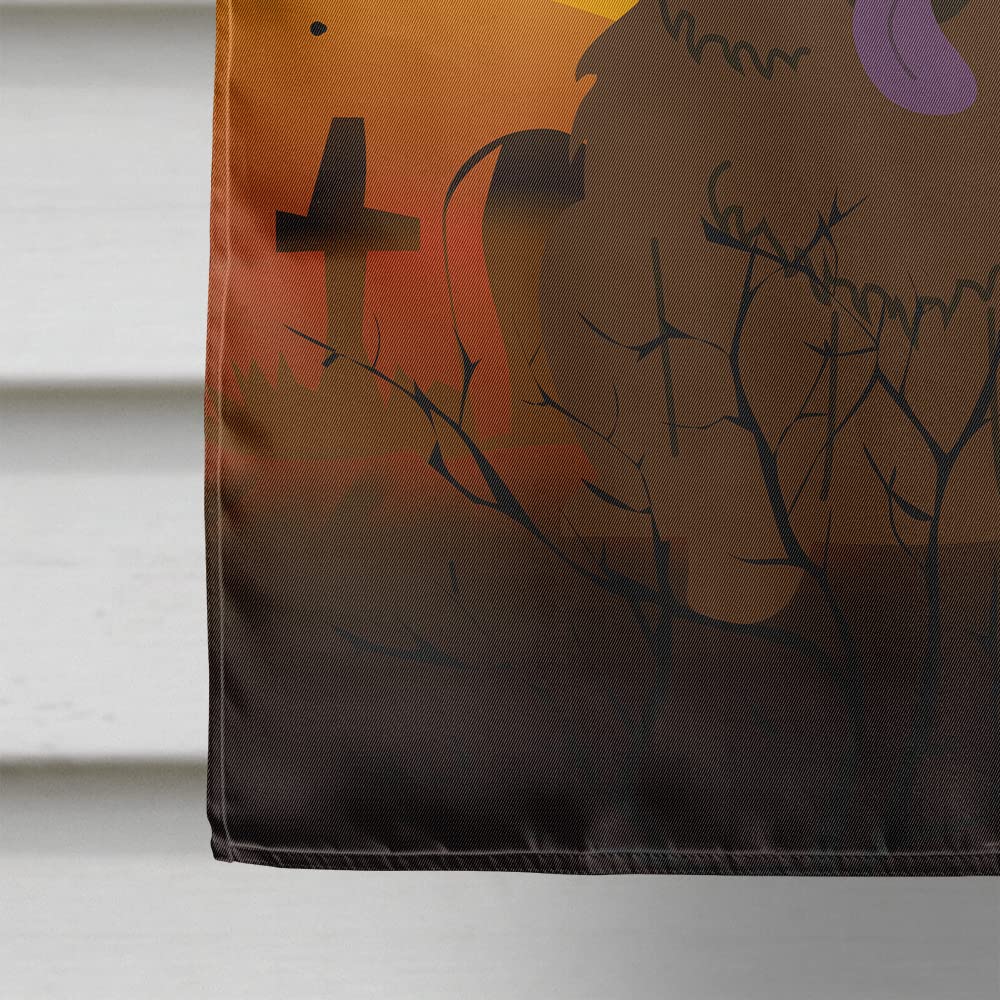 Caroline's Treasures BB4407CHF Halloween Chow Chow Chocolate Canvas House Size Flag, Large, Multicolor