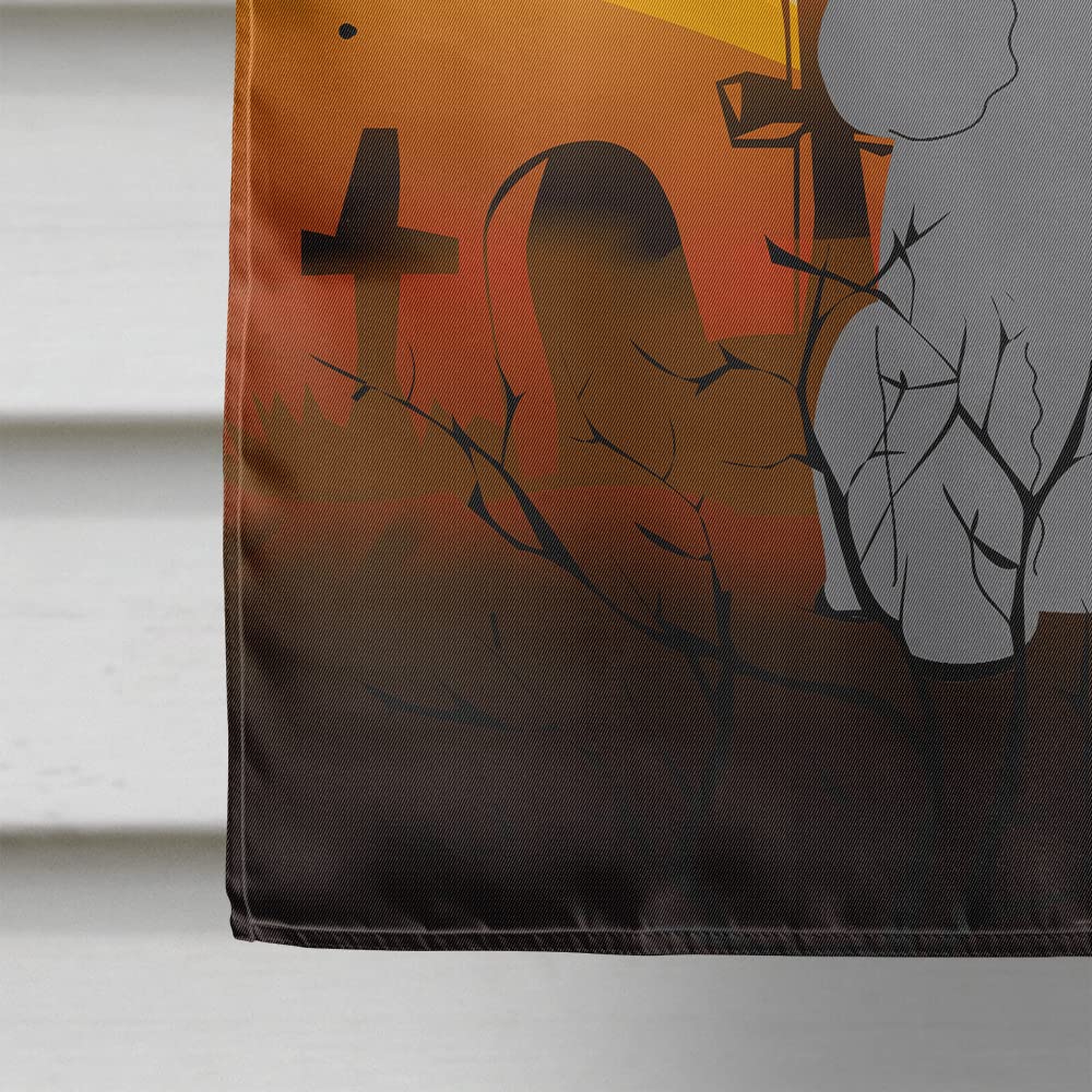 Caroline's Treasures BB4334CHF Halloween Poodle Silver Flag Canvas House Size, Large, Multicolor