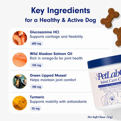 Petlab Co. Joint Care Chews, High Levels of Glucosamine for Dogs, Green Lipped Mussels, Omega 3 and Turmeric, Dog Hip and Joint Supplement to Actively Support Mobility, Packaging May Vary 🍁 All In One Marketplace Canada