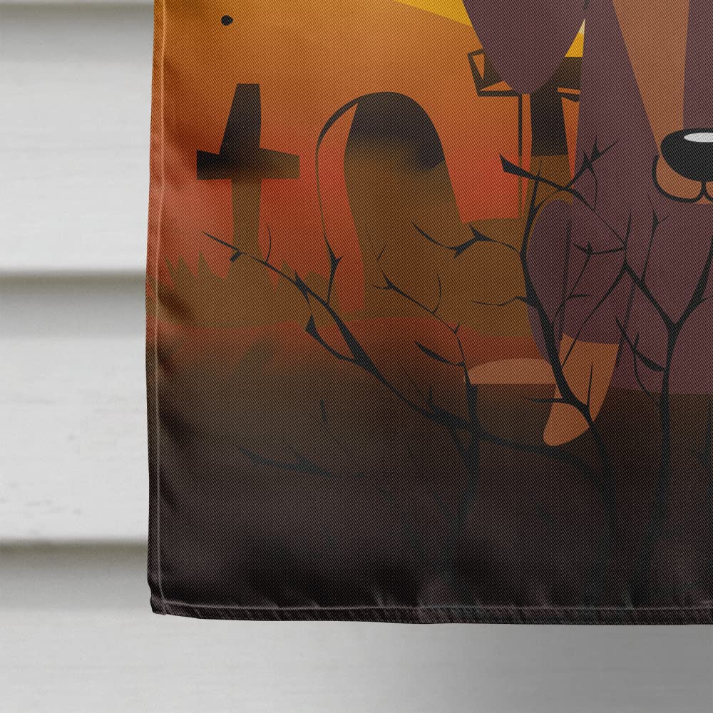 Caroline's Treasures BB4397CHF Halloween Dachshund Chocolate Canvas House Size Flag, Large, Multicolor