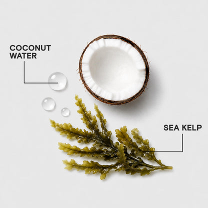 Joico HydraSplash Hydrating Shampoo for Fine to Medium Hair, Moisturizing Dry Damaged Hair with Keratin & Coconut Oil 🍁 All In One Marketplace Canada