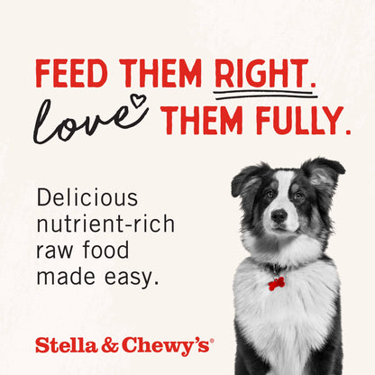 Stella & Chewy’s Freeze Dried Raw Super Beef Meal Mixer – Dog Food Topper for Small & Large Breeds – Grain Free, Protein Rich Recipe – 510g Bag 🍁 All In One Marketplace Canada