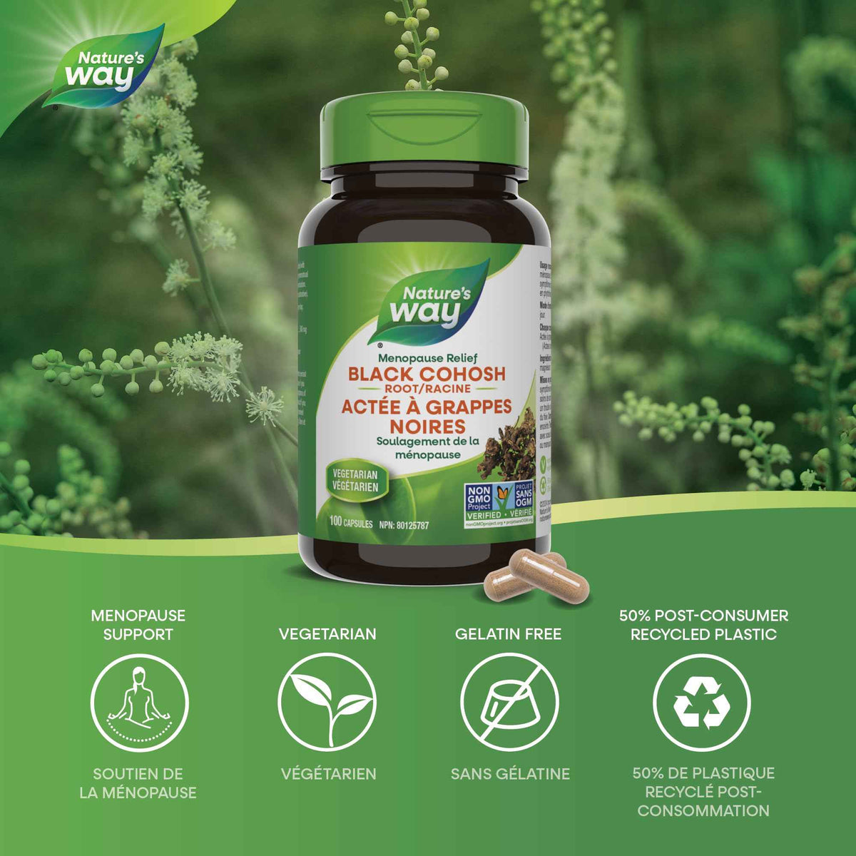 Nature's Way Black Cohosh Root – Hormone Balance for Women – 540mg Herbal Supplement for Menopausal Symptoms – Helps Relieve Menstruation Pain & Premenstrual Symptoms – 100 Vegetarian Capsules 🍁 All In One Marketplace Canada