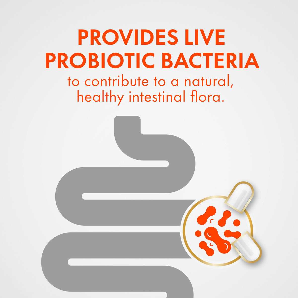 Align Probiotic Digestive Support Advanced Capsules for Woman and Men, Helps Relieve Symptoms of Irritable Bowel Syndrome (IBS) such as Bloating, Gas, and Abdominal Discomfort, 42 Capsules 🍁 All In One Marketplace Canada