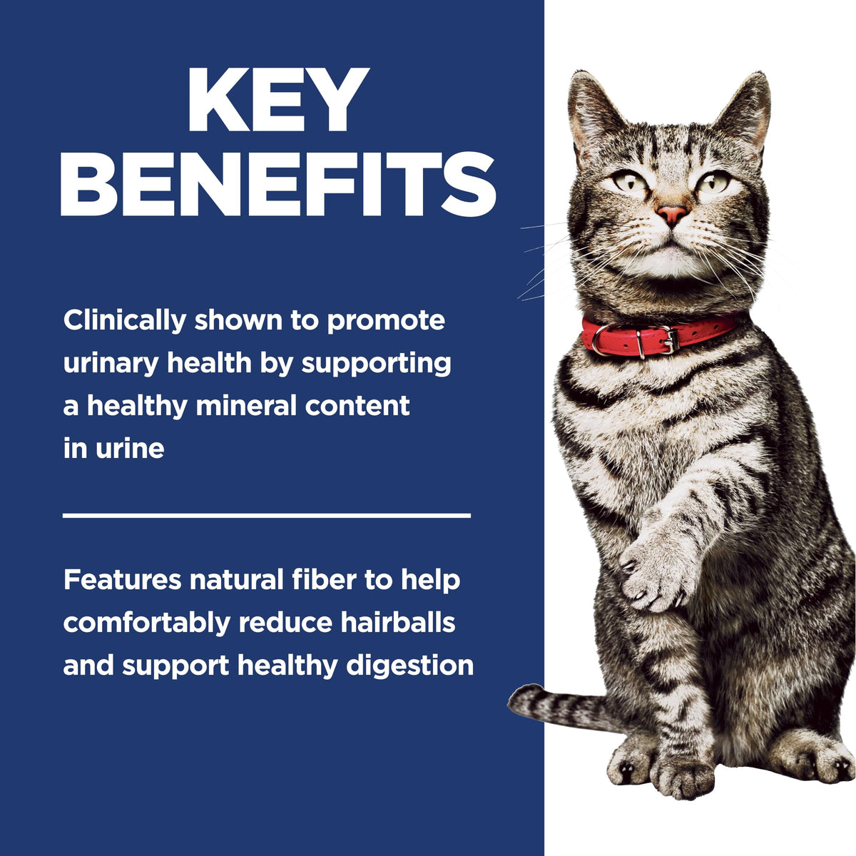 Hill's Science Diet Adult Urinary & Hairball Control Chicken Recipe Dry Cat Food 1.58 kg Bag 🍁 All In One Marketplace Canada