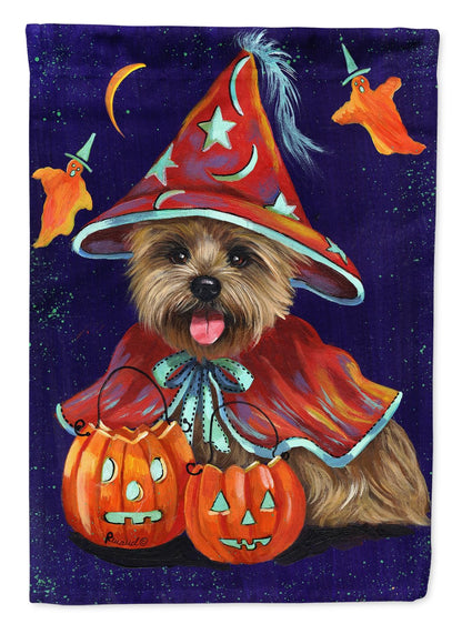Caroline's Treasures PPP3061GF Cairn Terrier Halloween Witch Garden Outdoor-Flags, Multicolor