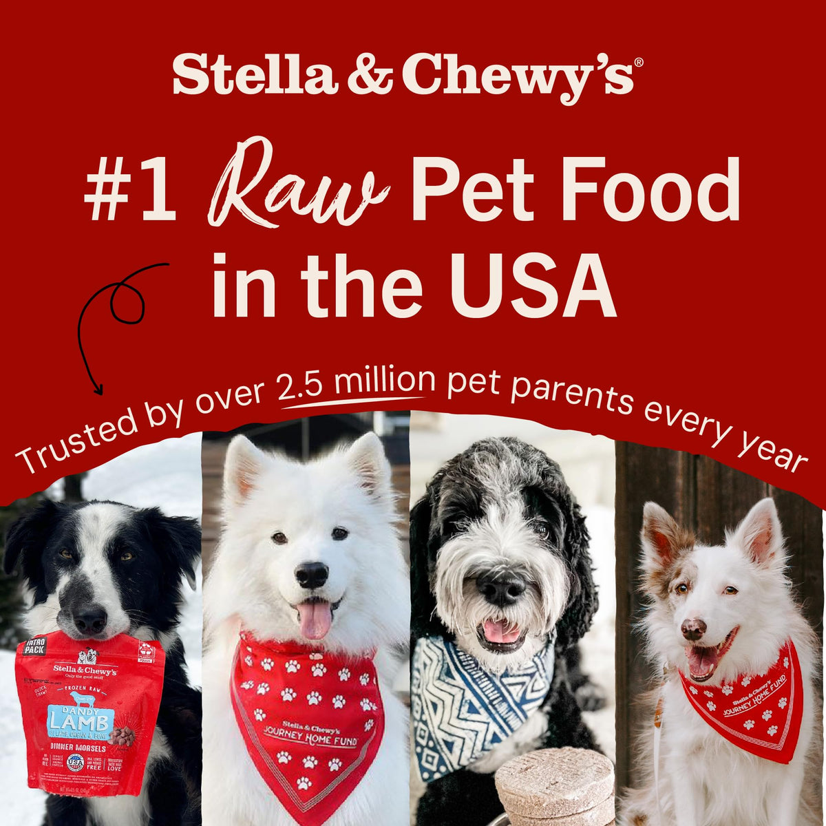 Stella & Chewy’s Freeze Dried Raw Super Beef Meal Mixer – Dog Food Topper for Small & Large Breeds – Grain Free, Protein Rich Recipe – 227g Bag 🍁 All In One Marketplace Canada
