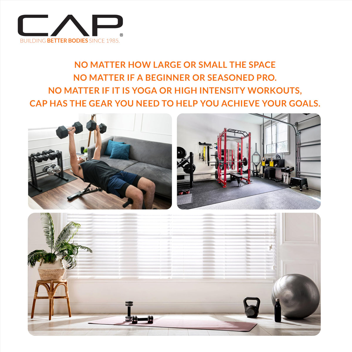 CAP Barbell 30 LB Coated Hex Dumbbell Weight Pair with Black Handle 🍁 All In One Marketplace Canada