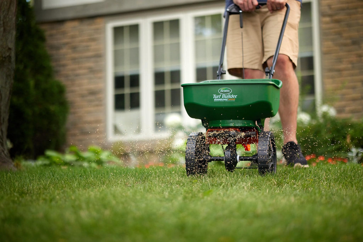 Scotts Turf Builder Grass Seed Sunny Areas Mix, 1kg (246 sq Meters / 2,648 sq feet Coverage) | Formula for overseeding or Growing a new, Thick Lawn in Sunny Areas 🍁 All In One Marketplace Canada