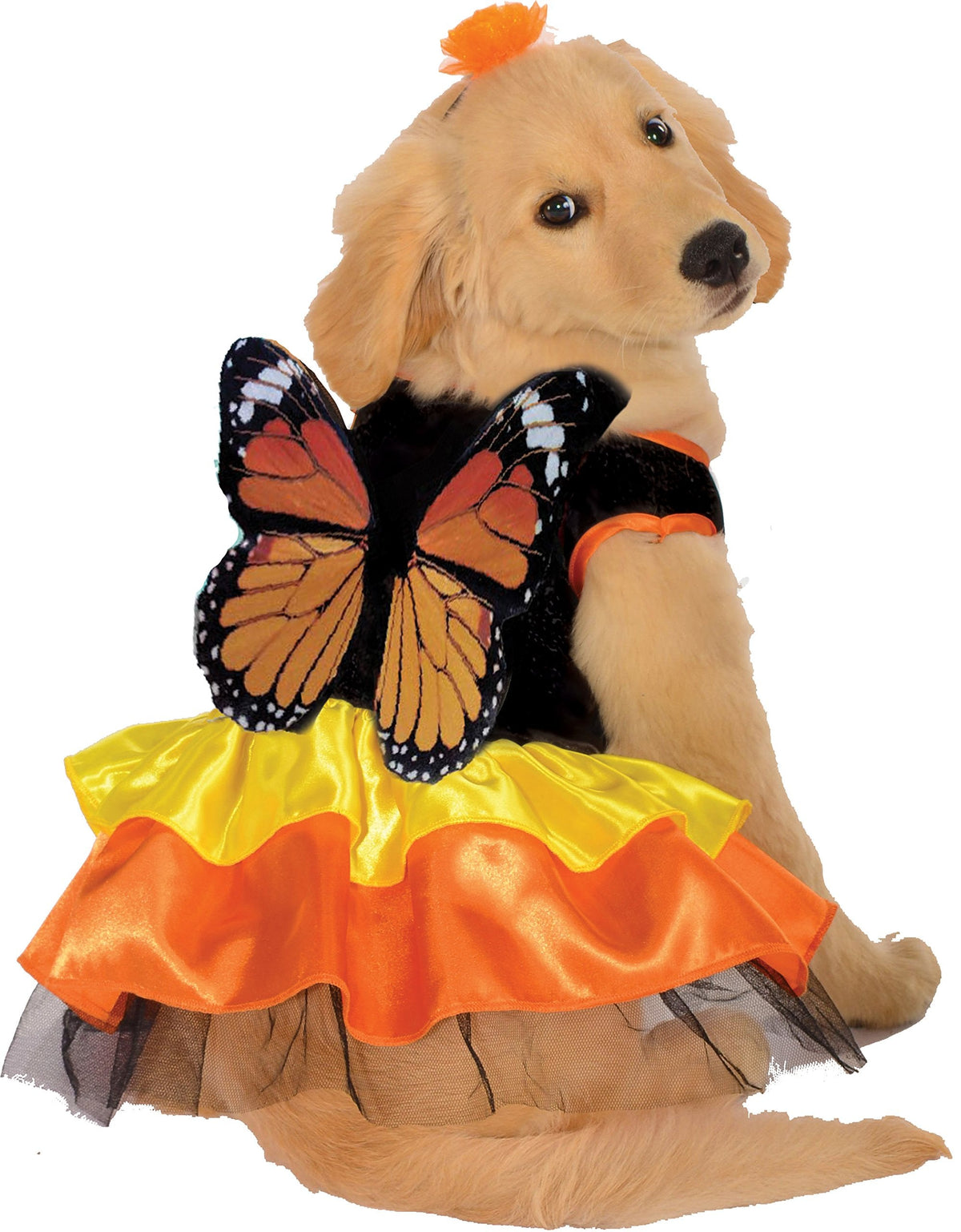 Rubies Costume Co Halloween Classics Collection Pet Costume, X-Large, Monarch Butterfly