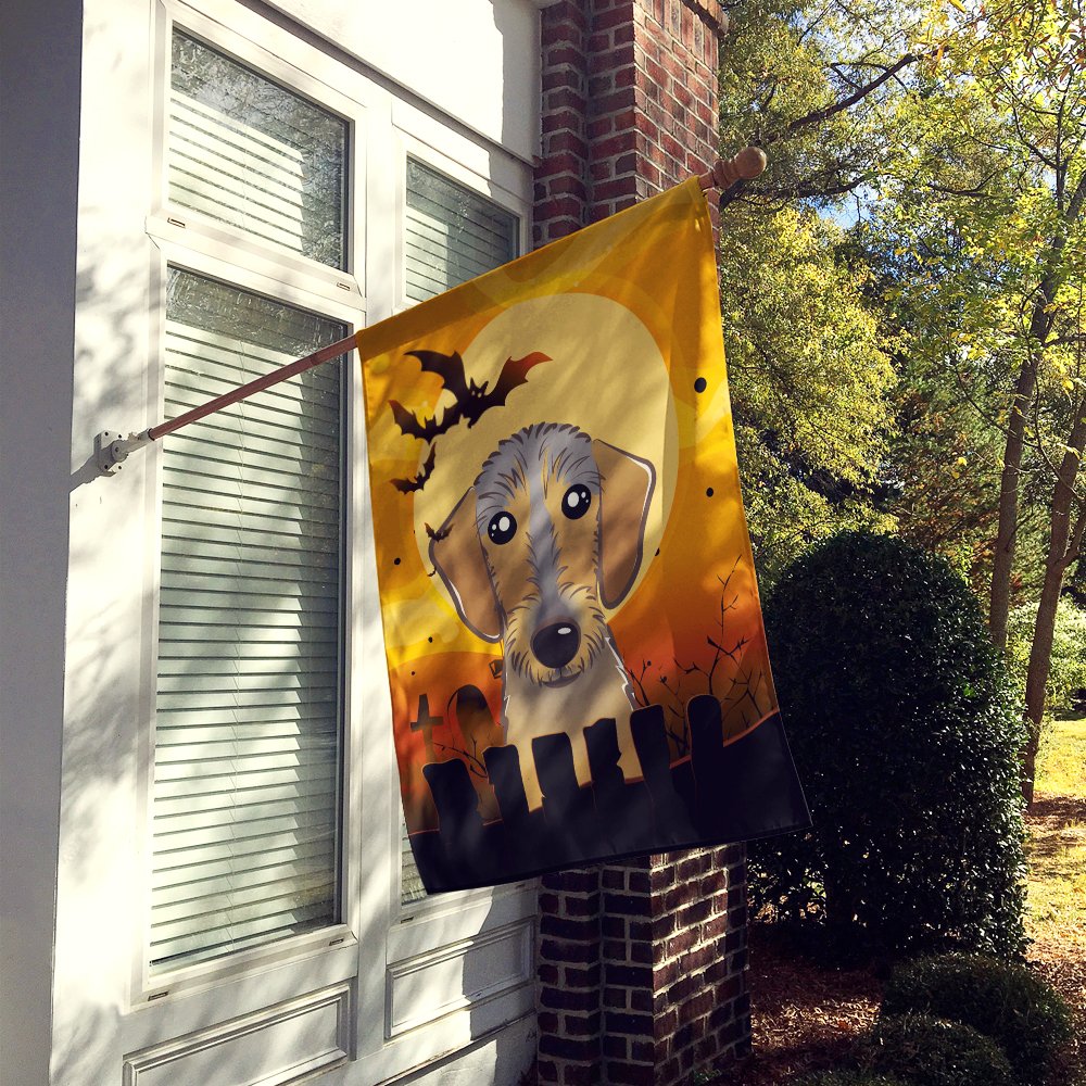 Caroline's Treasures BB1791CHF Halloween Wirehaired Dachshund Canvas House Size Flag, Multicolor, Large