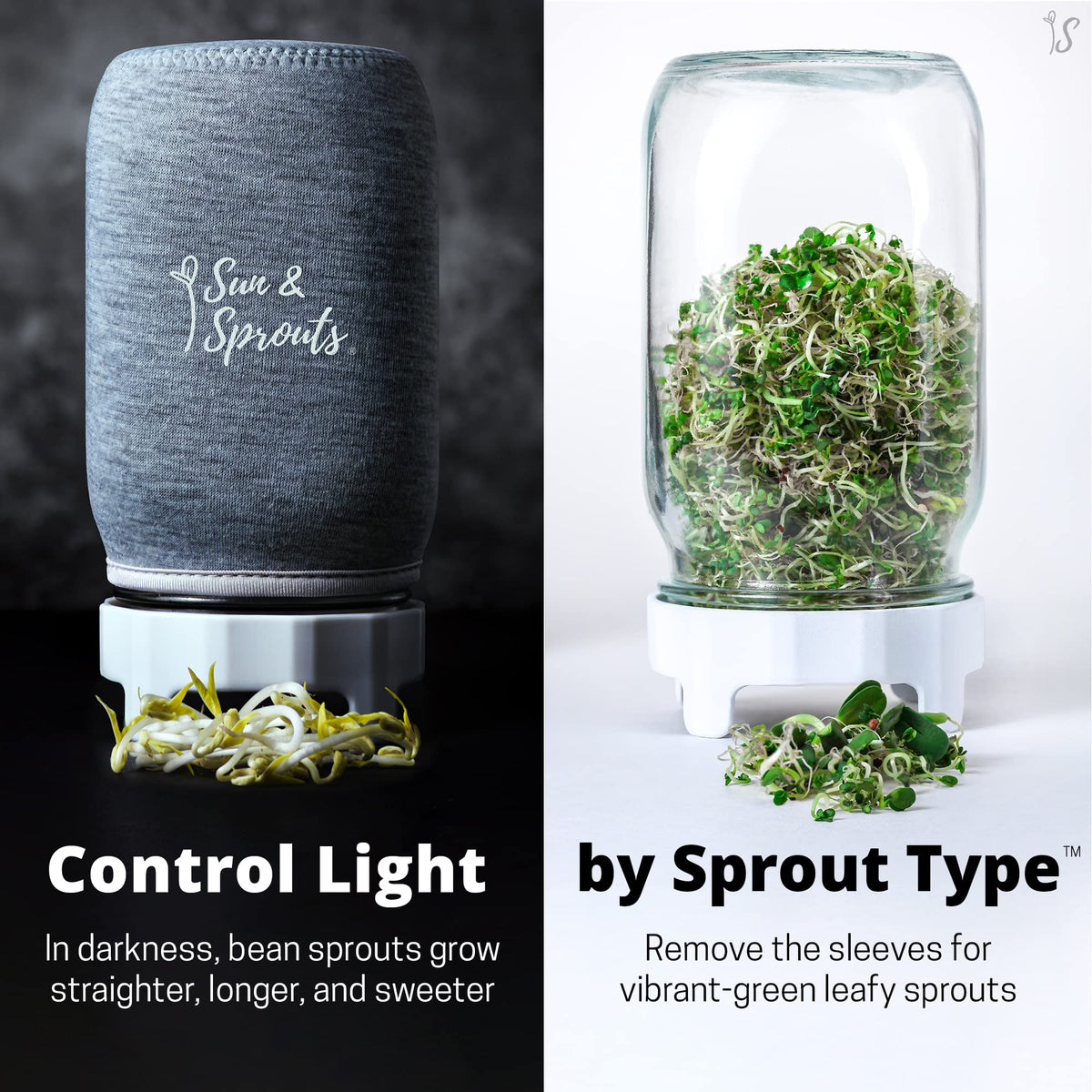 Sun & Sprouts The Original Complete Sprouting Kit - 2 Large Wide-Mouth Mason Jars, Premium Screen lids, Blackout Sleeves, Tray, Sprouter Stand - for Growing Broccoli, Mung Bean, Alfalfa from Seed 🍁 All In One Marketplace Canada