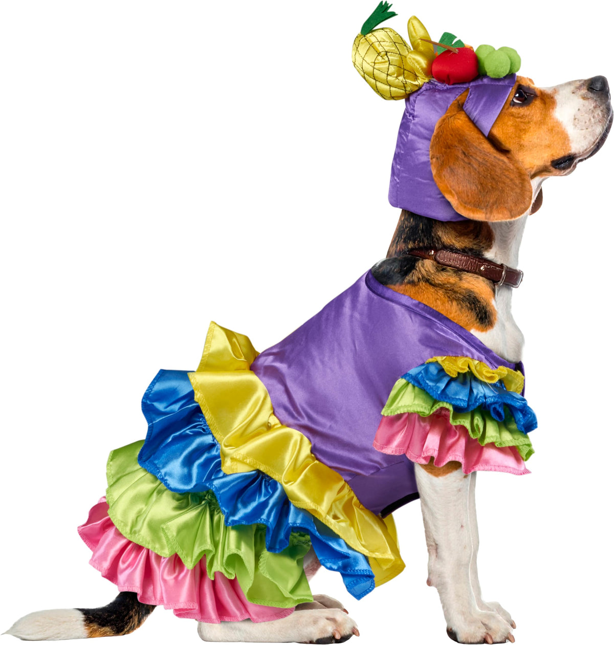 Rubies Brazilian Bombshell Pet Costume, X-Large for Themed Parties and Halloween