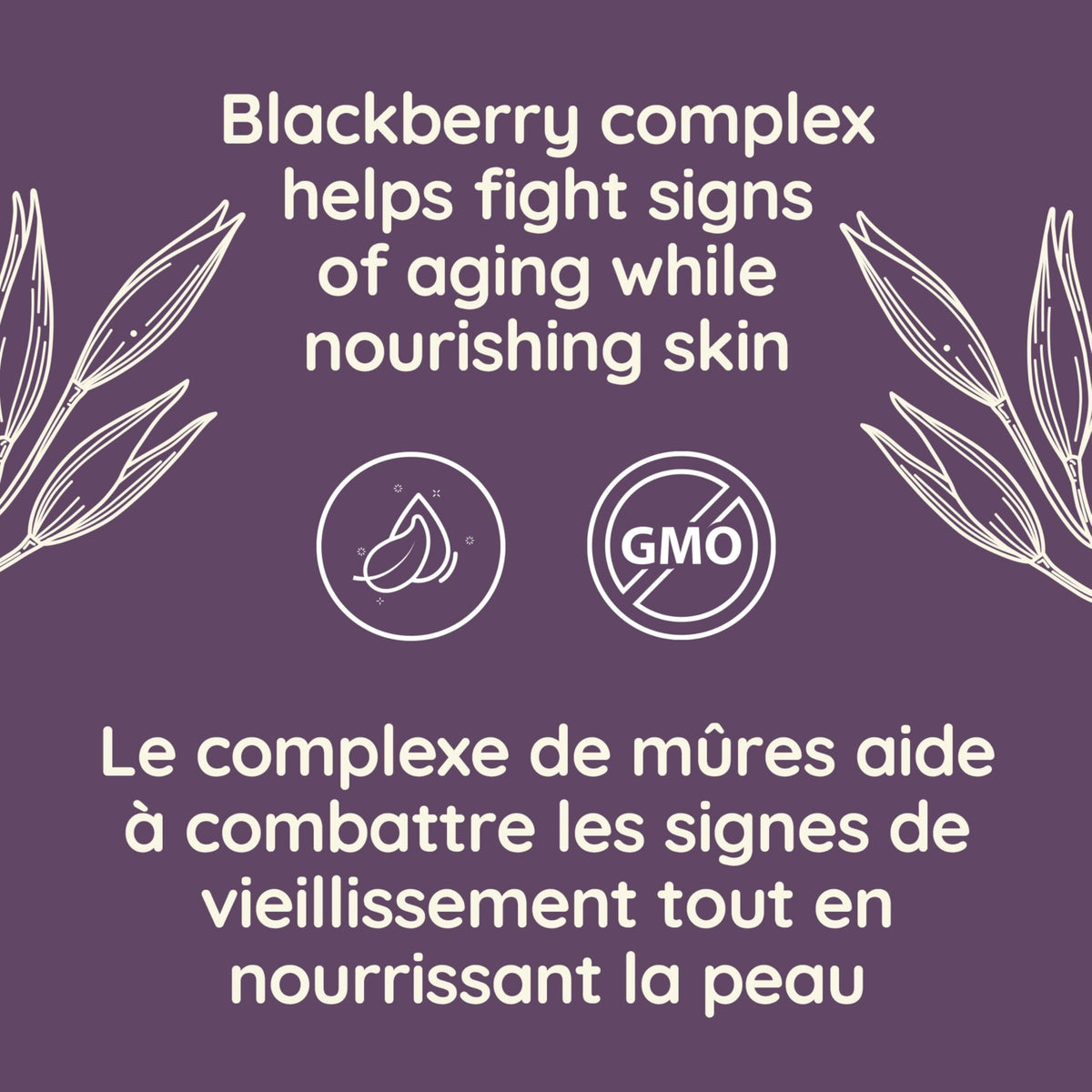Aveeno Absolutely Ageless Daily Face Moisturizer with SPF 30 Sunscreen – Anti-Aging Wrinkle Cream with Blackberry Complex, Vitamins C & E – Hydrating Facial Moisturizer for Firmer Even Skin Tone 50 mL 🍁 All In One Marketplace Canada