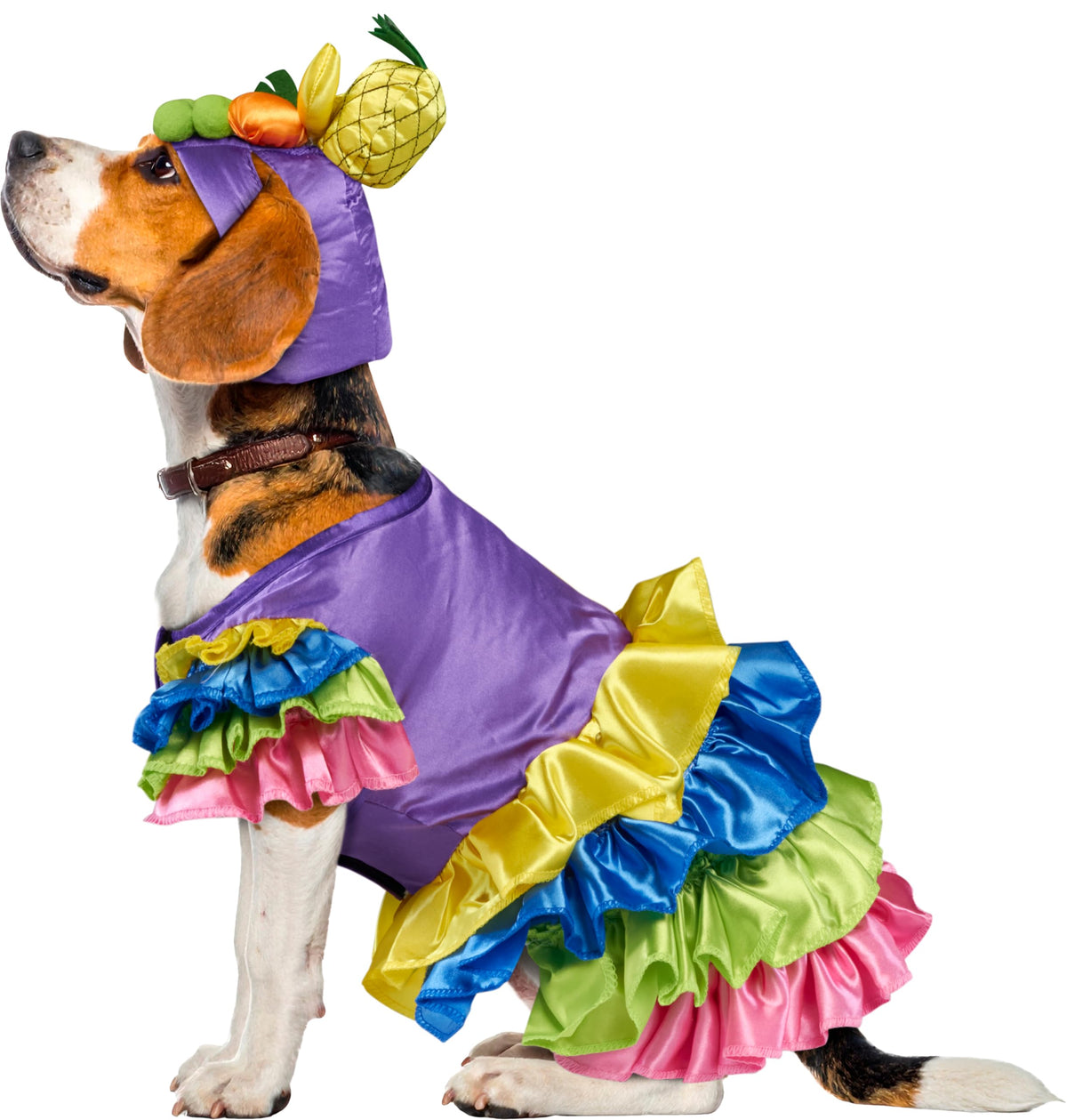 Rubies Brazilian Bombshell Pet Costume, X-Large for Themed Parties and Halloween