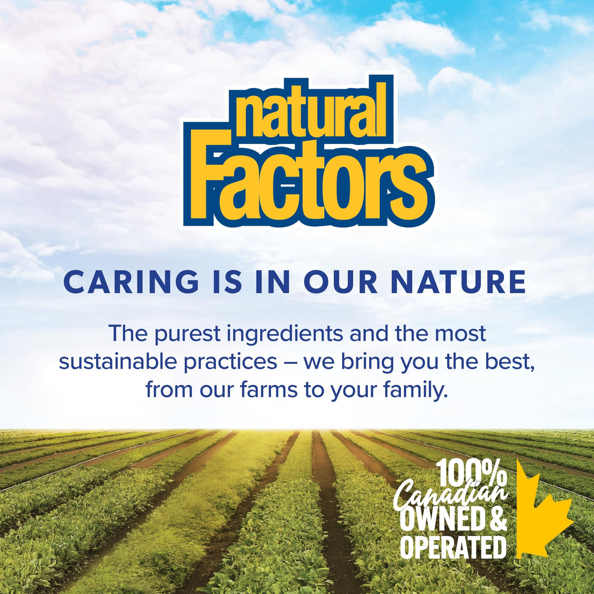 Natural Factors Liposomal Vitamin C, HIGH ABSORPTION, 180 Liquid Softgels, 1000 mg per Serving (2 Softgels), Immune Support, Antioxidants, Proudly Canadian 🍁 All In One Marketplace Canada