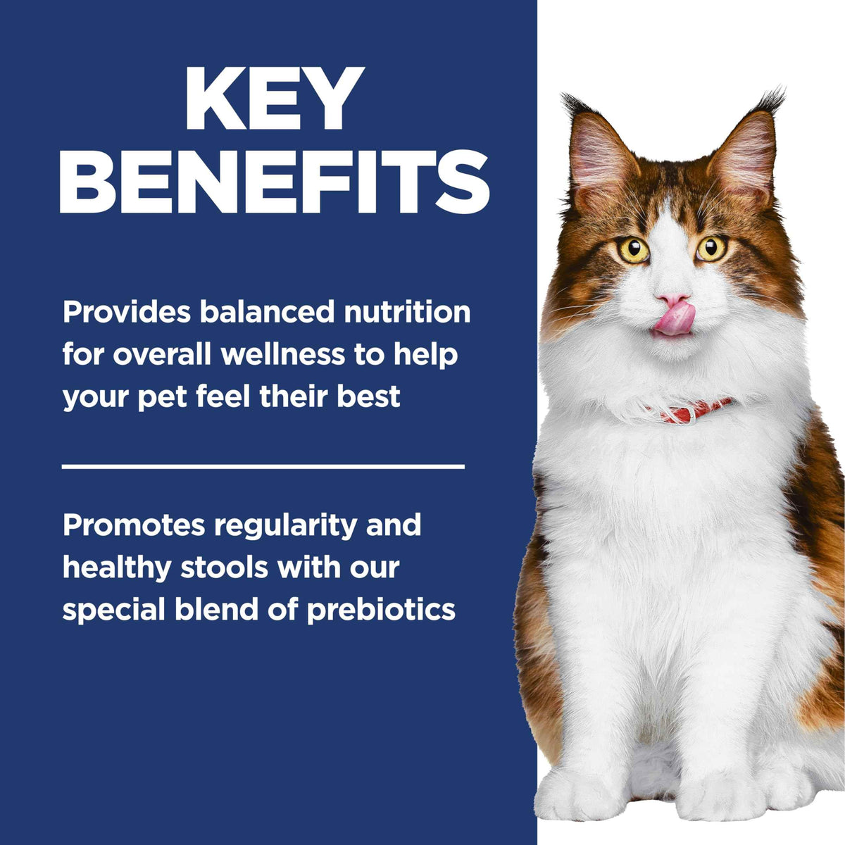Hill's Science Diet Adult Perfect Digestion Salmon, Brown Rice & Whole Oats Recipe Dry Cat Food 5.89 kg Bag 🍁 All In One Marketplace Canada