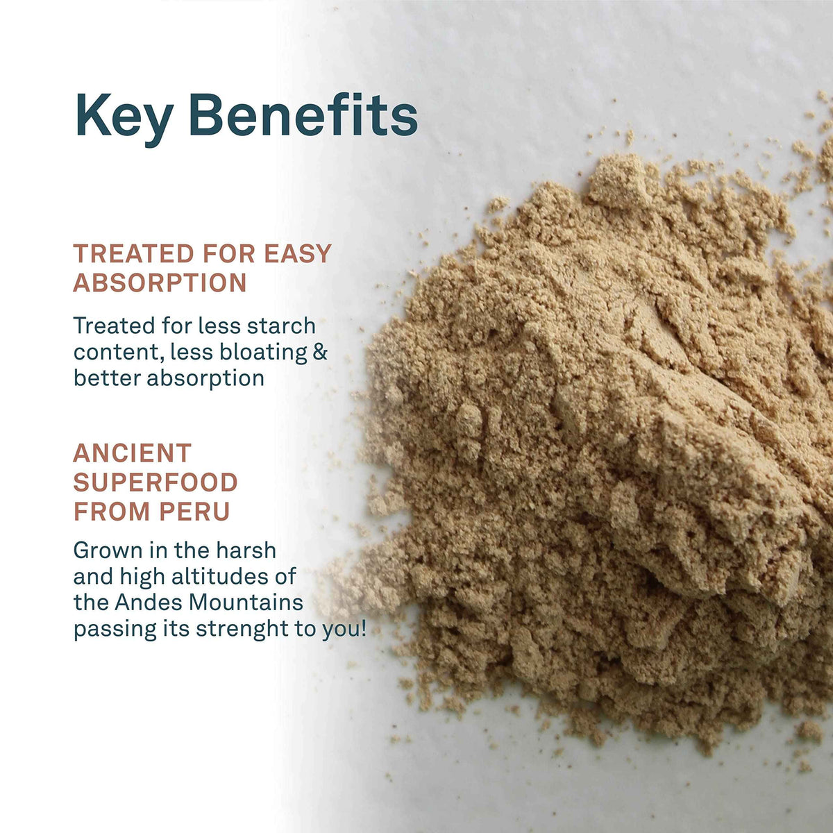 Organika Maca Certified Organic Powder- Gelatinized for High Bioavialability, Hormone Balance, Adaptogen to Help with Stress and Energy- 400g 🍁 All In One Marketplace Canada