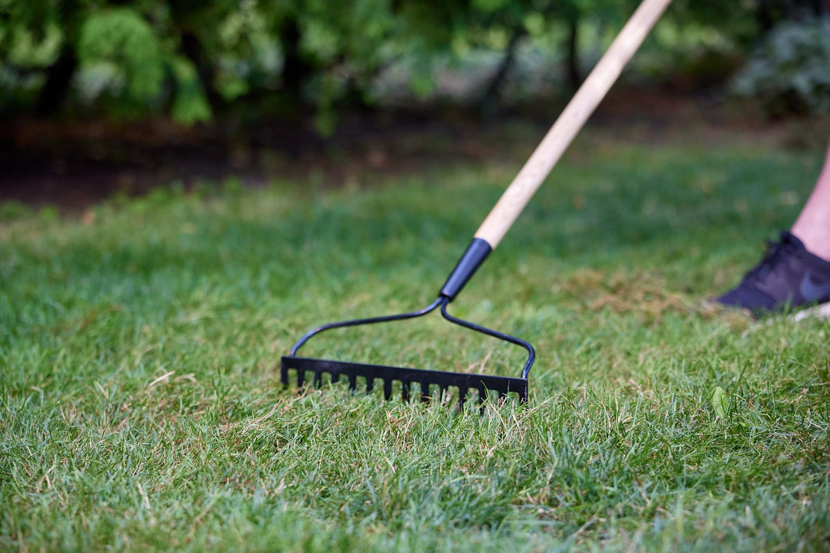 Scotts Turf Builder Grass Seed All Purpose Mix, 1Kg (246 sq Meters / (2,648 sq feet Coverage) | Sun & Shade Formula for a Thick, Green Lawn 🍁 All In One Marketplace Canada