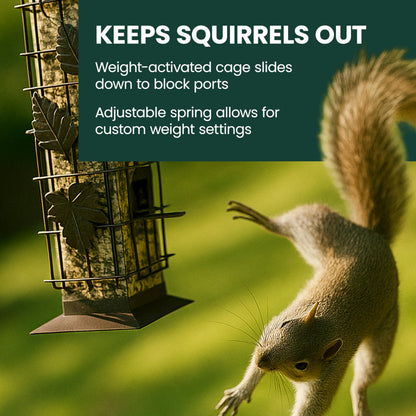 Perky-Pet 336-1SR Squirrel-Be-Gone Bird Feeder, 2LB Squirrel Proof Outdoor Wild Bird Feeder with Weight-Activated Perches 🍁 All In One Marketplace Canada