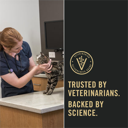 Purina Pro Plan LiveClear Allergen Reducing Dry Cat Food, Salmon & Rice 7.26kg 🍁 All In One Marketplace Canada