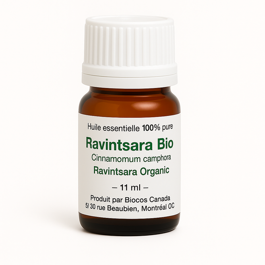 Ravintsara bio