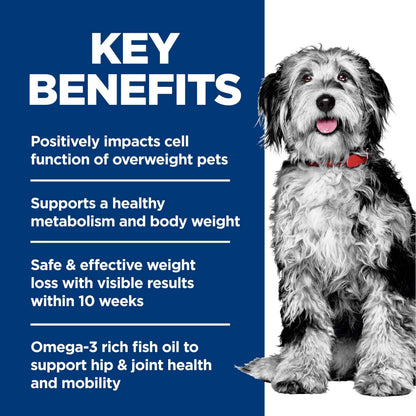 Hill's Science Diet Adult Perfect Weight & Joint Support Chicken Recipe Dry Dog Food 11.34 kg Bag 🍁 All In One Marketplace Canada