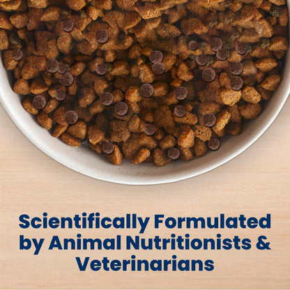 Blue Buffalo Life Protection Formula Chicken & Brown Rice Large Breed Puppy Dry Dog Food with DHA & ARA, Supports Immunity with LifeSource Bits, Promotes Healthy Muscles & Strong Bones, 11.7kg/26 lbs 🍁 All In One Marketplace Canada