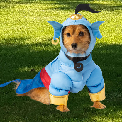 Rubies Disney Aladdin Pet Costume, Genie, X-Large for Themed Parties and Halloween