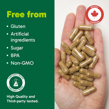 Organika Canadian-Made Maca 4:1 Strength 180 Vcaps - 3000mg | High Bioavialability Formula, Adaptogen to Help with Stress, Energy and Hormone Balance 🍁 All In One Marketplace Canada