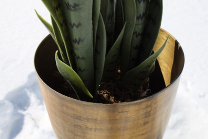 Atzi - Mid-Century Turned Wood Leg Planter Brass (Multiple Sizes)