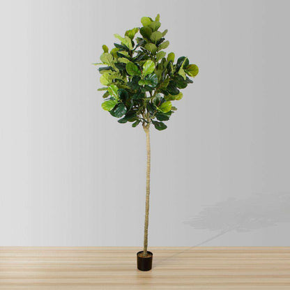 Adelia Kunst Geigenfeigenbaum Topfpflanze 10'