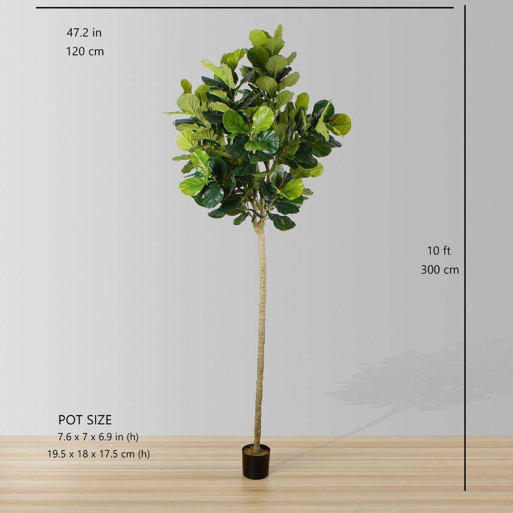 Adelia Kunst Geigenfeigenbaum Topfpflanze 10'