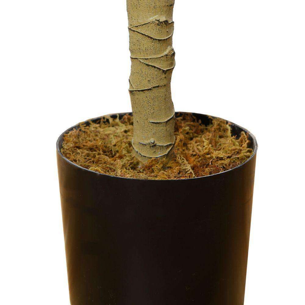 Adelia Kunst Geigenfeigenbaum Topfpflanze 10'