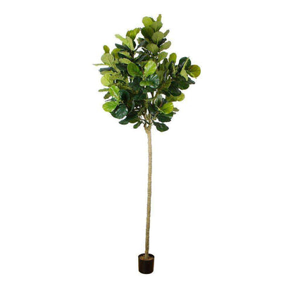 Adelia Kunst Geigenfeigenbaum Topfpflanze 10'