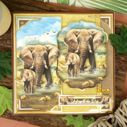 Into The Wild Adorable Scorable Selection