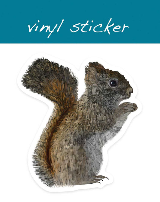 Vinyl-Aufkleber - Amerikanisches Rothörnchen