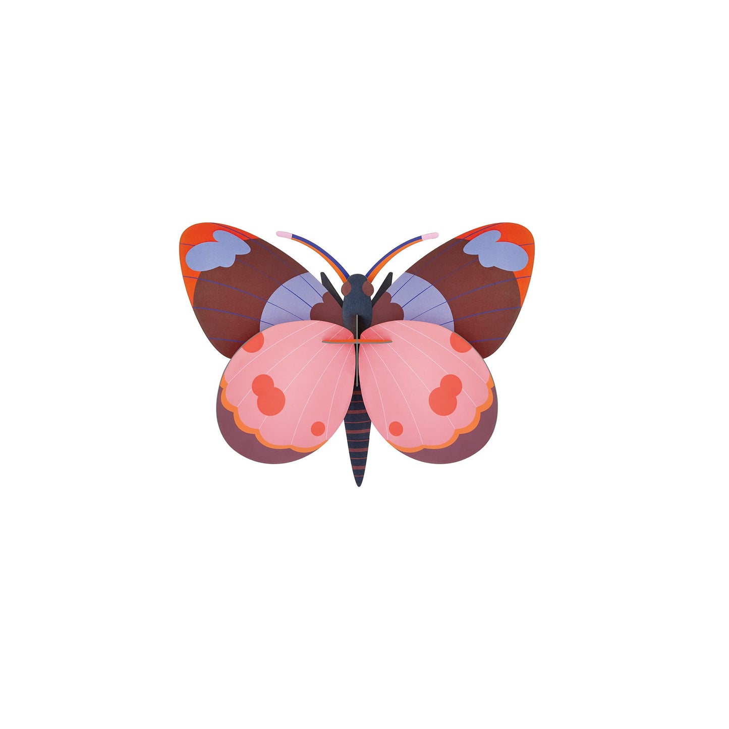Bellissima Butterfly