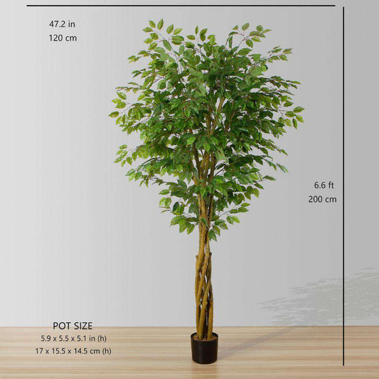 Bea Künstliche Ficus-Topfpflanze 198 cm