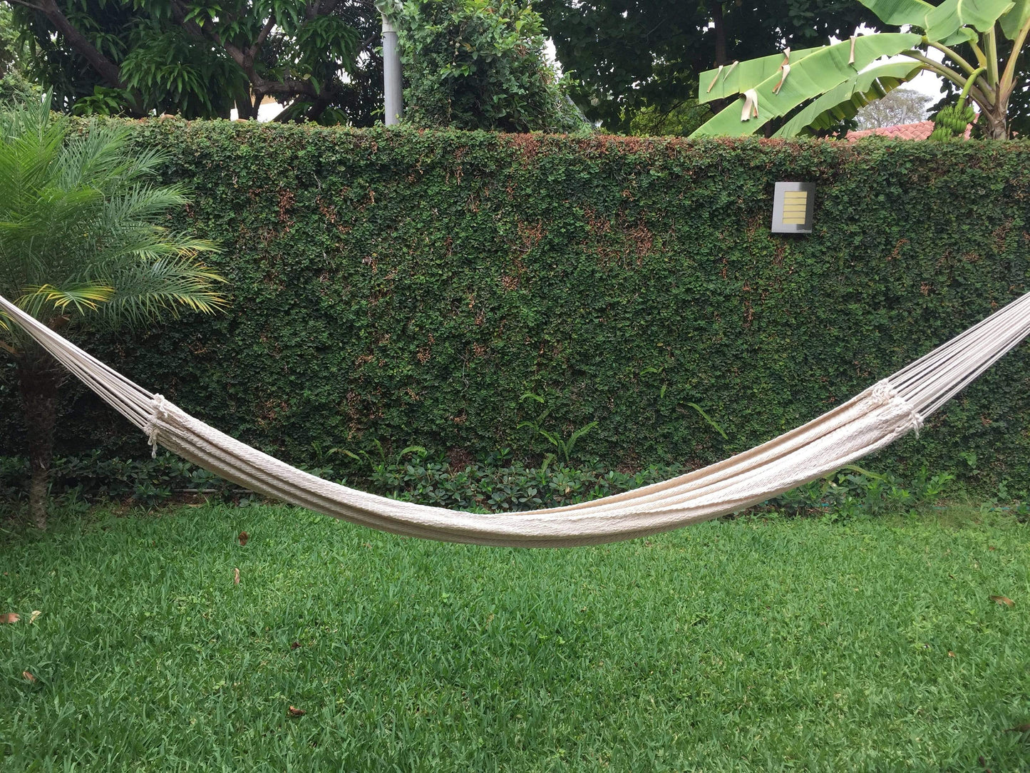 Nicaraguanische Hängematte - Deluxe
