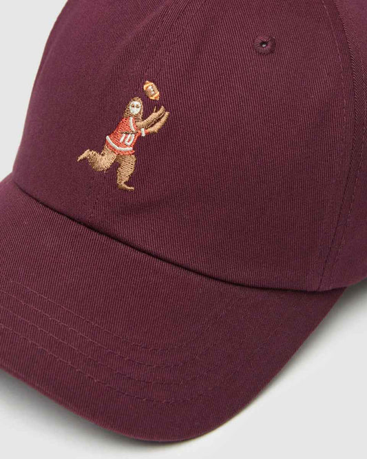 Sasquatch Peak Hat