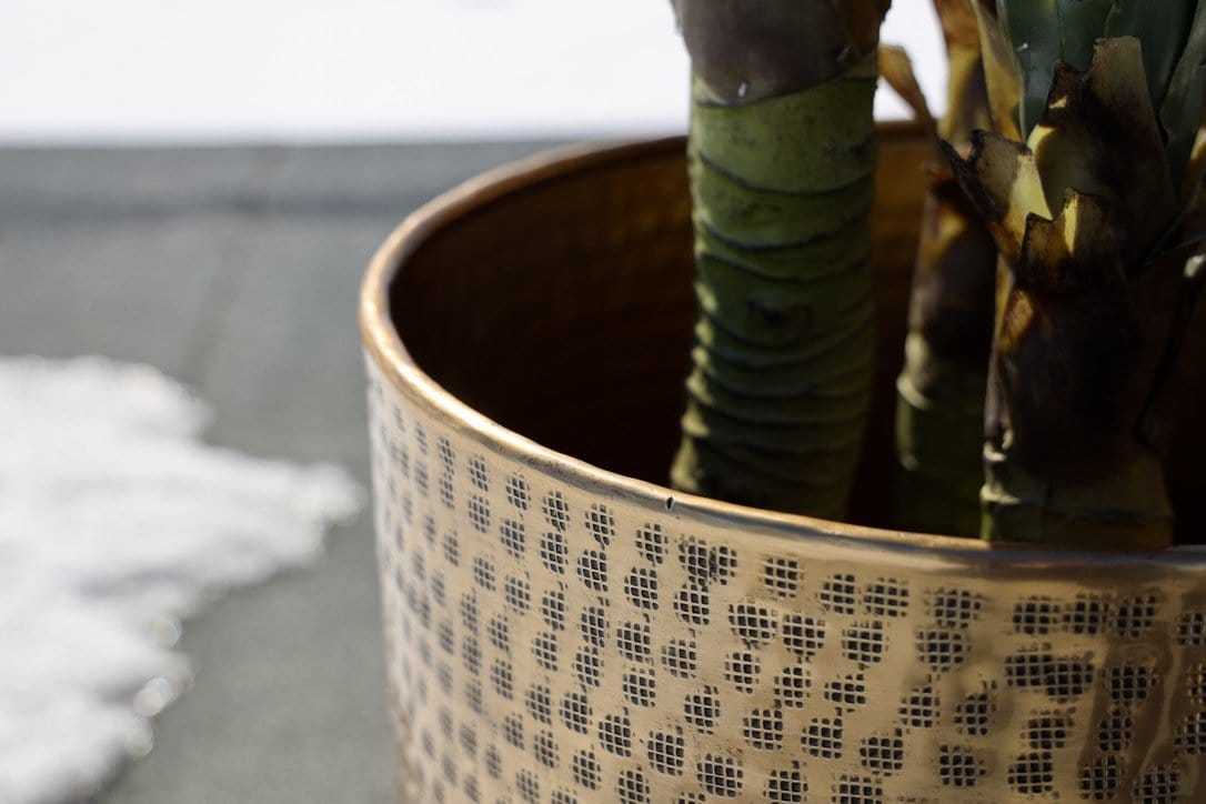 Bertooo - Brass Mid-Century Planter