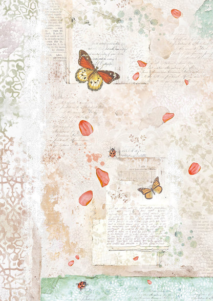 Ciao Bella Enchanted Land Creative Pad A4 9/Pkg
