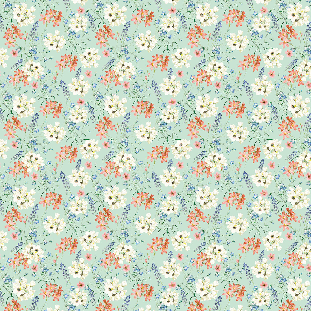 Ciao Bella Enchanted Land Fussy Cut Pad 6"x6" 24/Pkg