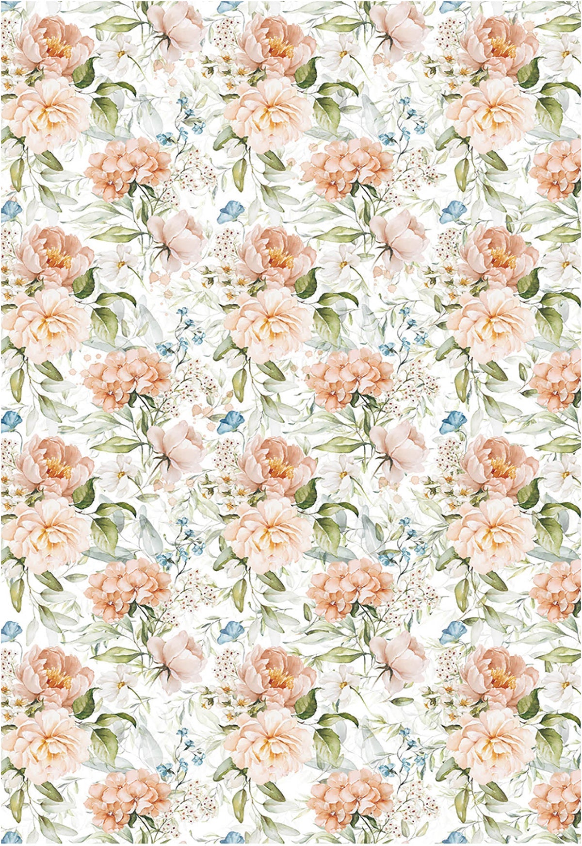 Ciao Bella Vellum Reign Of Grace Paper Patterns A4 6/Pkg