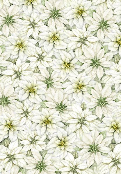 Ciao Bella Vellum Sparkling Christmas Paper Patterns A4 6/Pkg