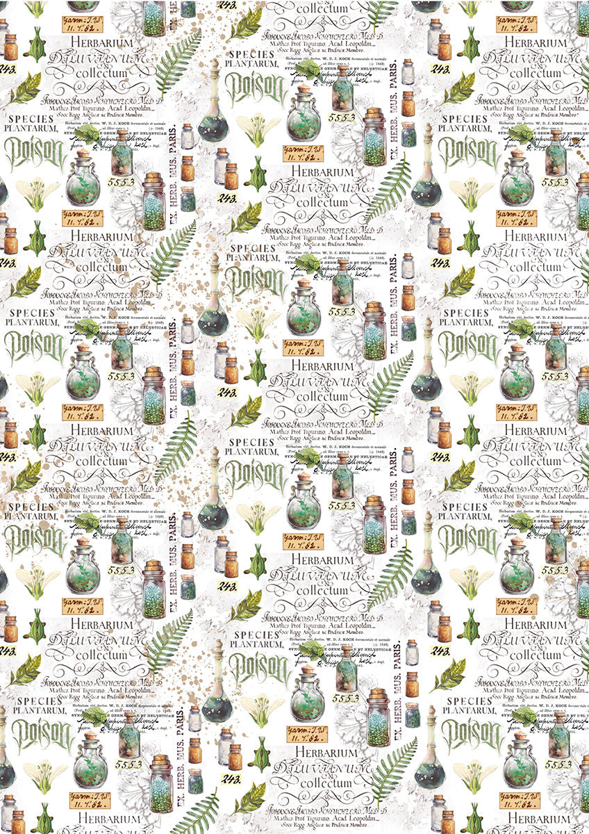 Vellum Wizard Academy Paper Patterns A4 6/Pkg
