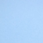 Colorplan 12X12 Cardstock 100#CV - 10 Sheets